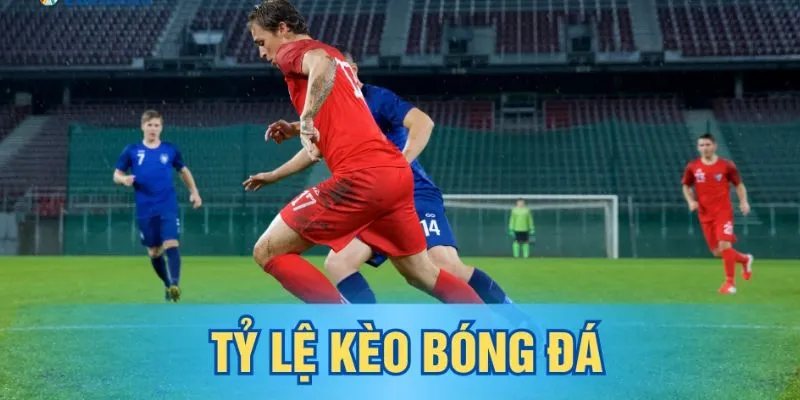 Hb88 hiện đang cung cấp đa dạng thể loại cá cược cho người chơi